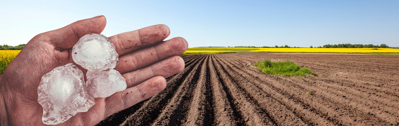 plowed field with hail
