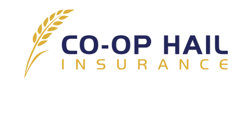 Co-operative