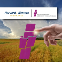 HWI Partnership with IBAS