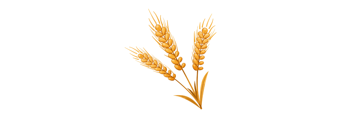 Grain and Cash Crop Insurance
